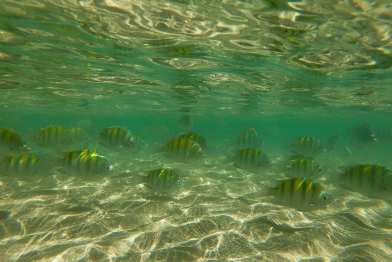 DCIM100GOPROGOPR2031.JPG